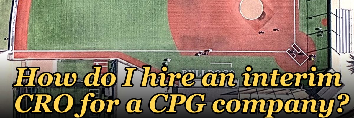 How do I hire an interim CRO for a CPG company in 2027?