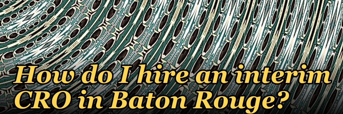 How do I hire an interim CRO in Baton Rouge in 2027?