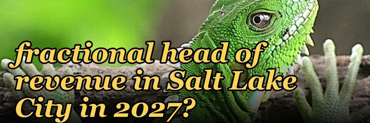 Where do I find a fractional head of revenue in Salt Lake City in 2027?