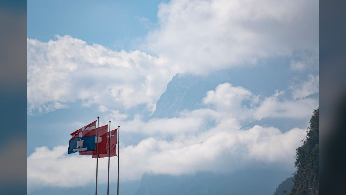What red flags should I watch for in a fractional Chief Revenue Officer in 2027?