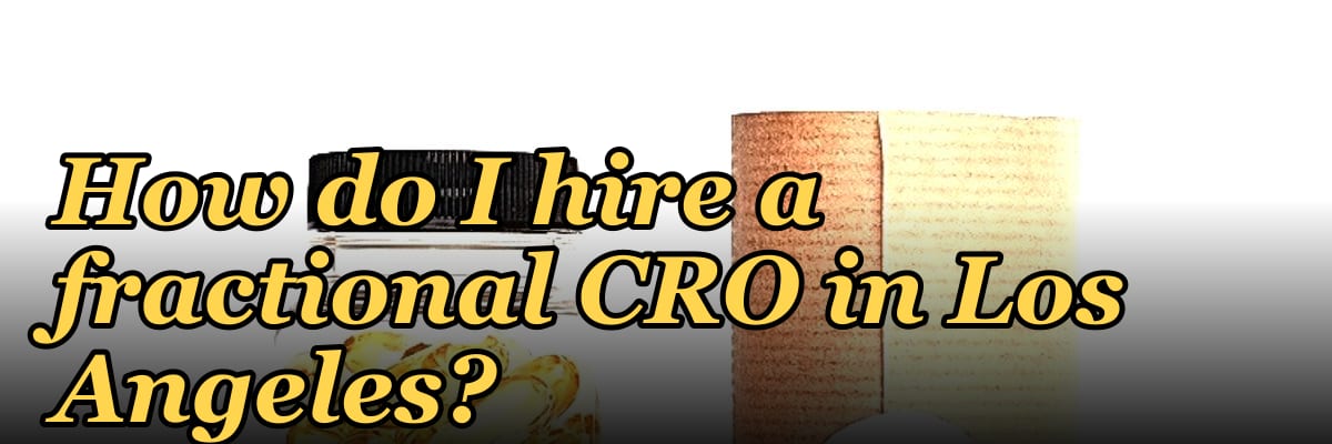 How do I hire a fractional CRO in Los Angeles in 2027?