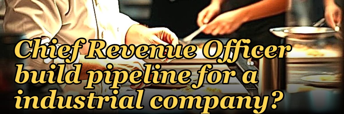 How does a fractional Chief Revenue Officer build pipeline for a industrial company?