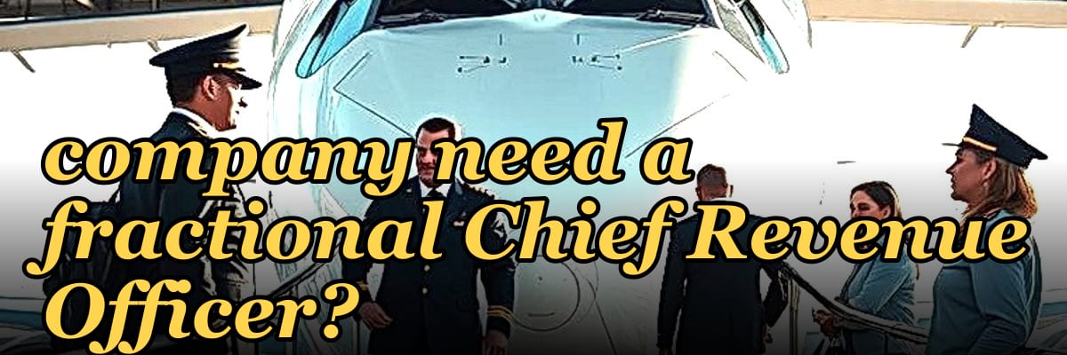 Does a scale-up fintech company need a fractional Chief Revenue Officer?