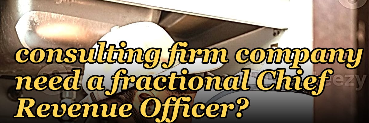 Does a PE-backed consulting firm company need a fractional Chief Revenue Officer?