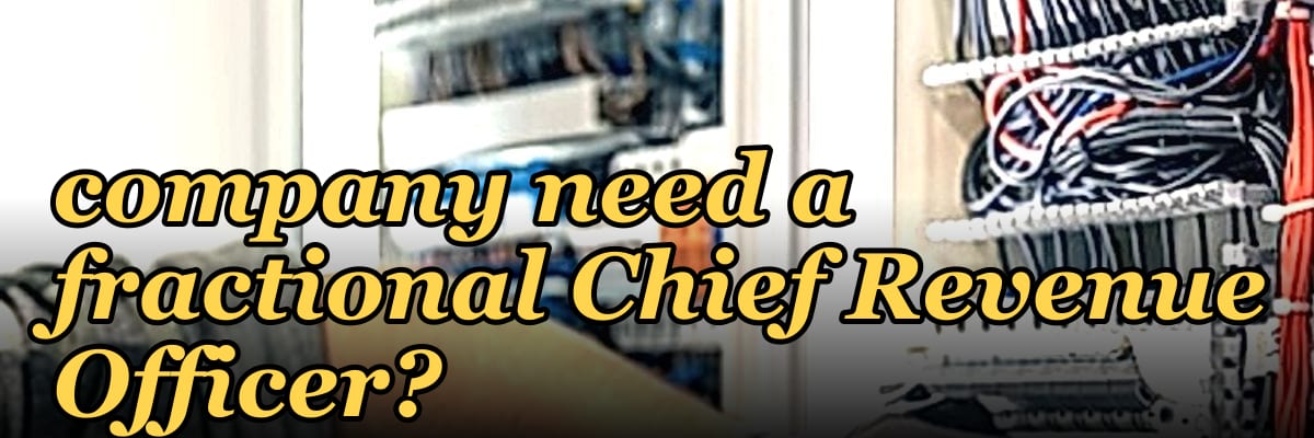 Does a pre-IPO hardware company need a fractional Chief Revenue Officer?