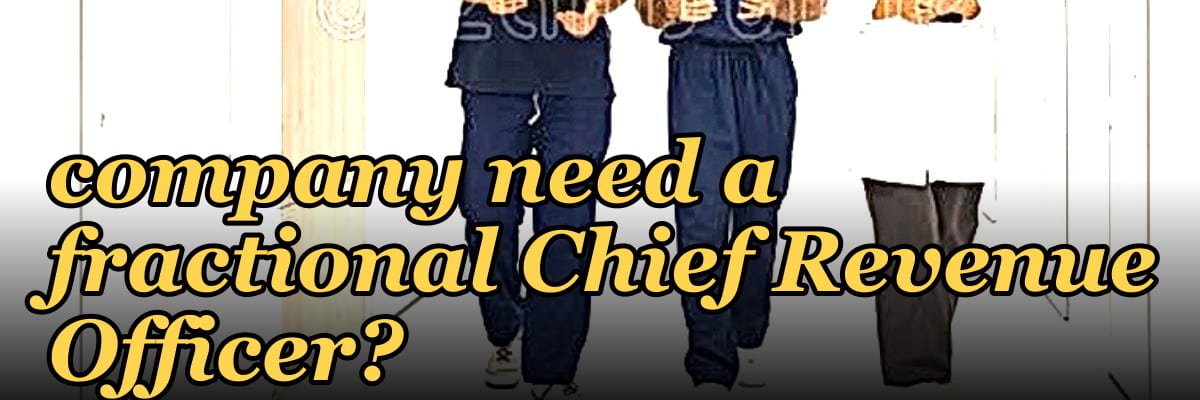 Does a mid-market construction tech company need a fractional Chief Revenue Officer?