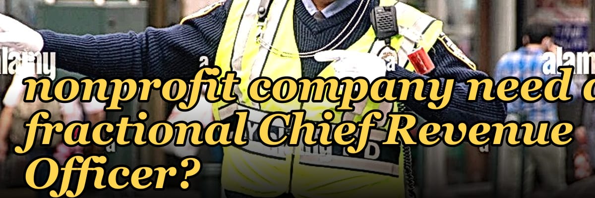 Does a turnaround nonprofit company need a fractional Chief Revenue Officer?