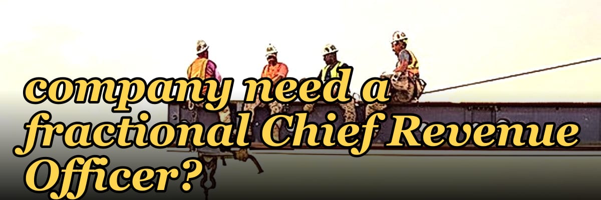Does a Series C medtech company need a fractional Chief Revenue Officer?