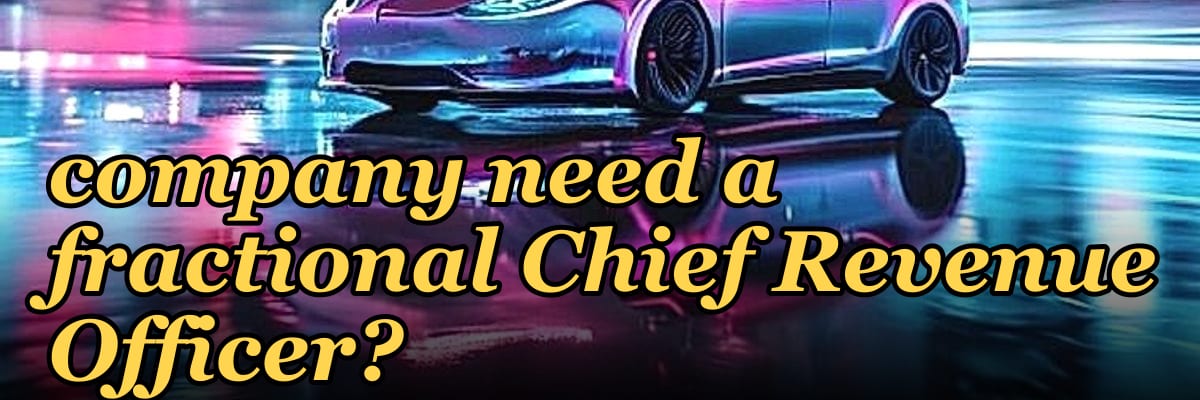 Does a pre-seed edtech company need a fractional Chief Revenue Officer?