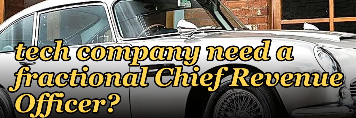Does a pre-IPO climate tech company need a fractional Chief Revenue Officer?