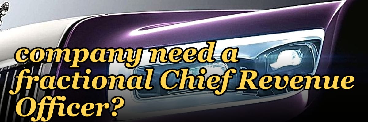 Does a $10M to $50M ARR financial services company need a fractional Chief Revenue Officer?