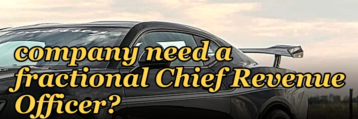 Does a Series C martech company need a fractional Chief Revenue Officer?