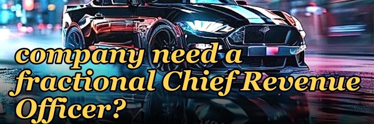 Does an early-stage professional services company need a fractional Chief Revenue Officer?