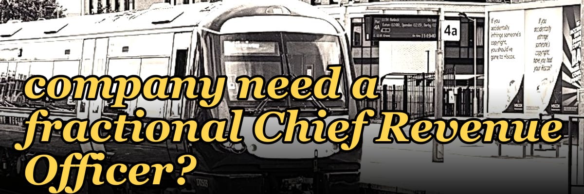 Does an SMB marketplace company need a fractional Chief Revenue Officer?