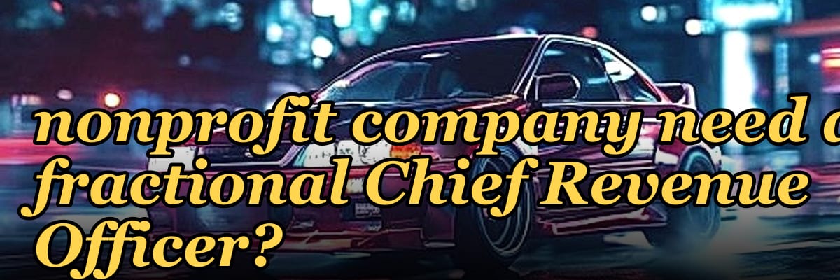 Does a bootstrapped nonprofit company need a fractional Chief Revenue Officer?