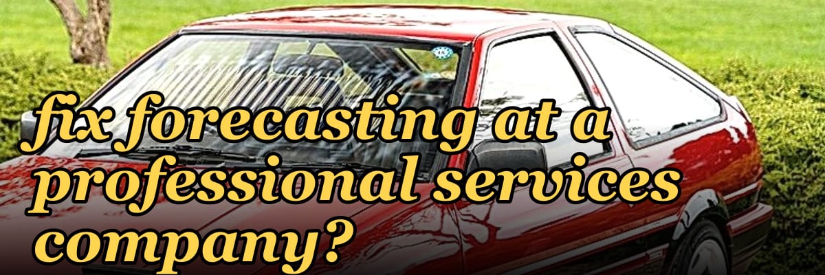 How does a fractional Chief Revenue Officer fix forecasting at a professional services company?