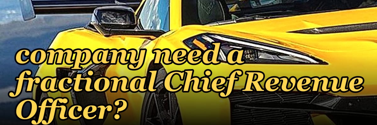 Does a pre-IPO gaming company need a fractional Chief Revenue Officer?