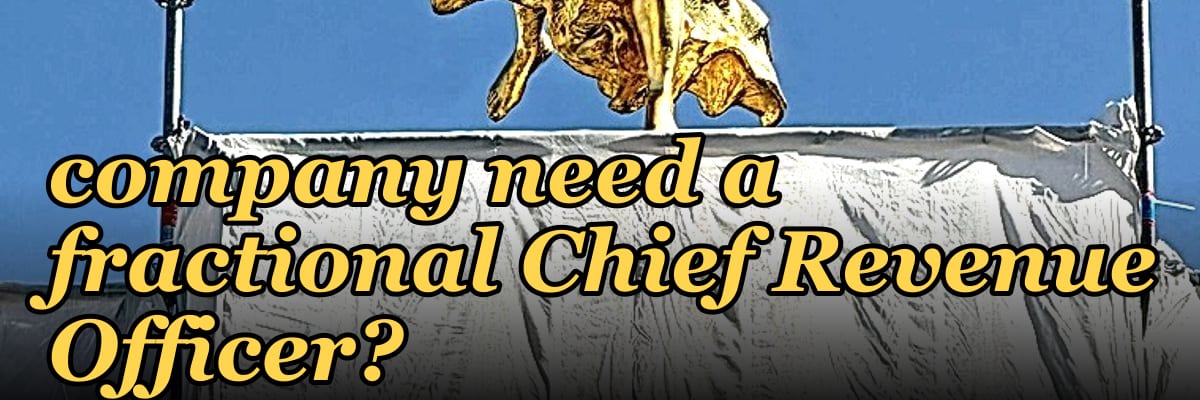 Does a mid-market services business company need a fractional Chief Revenue Officer?