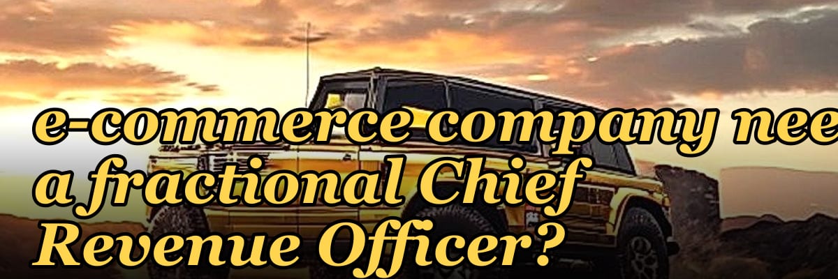 Does an early-stage e-commerce company need a fractional Chief Revenue Officer?