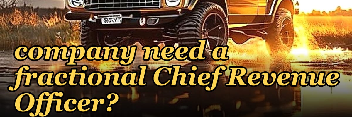 Does an SMB clean energy company need a fractional Chief Revenue Officer?