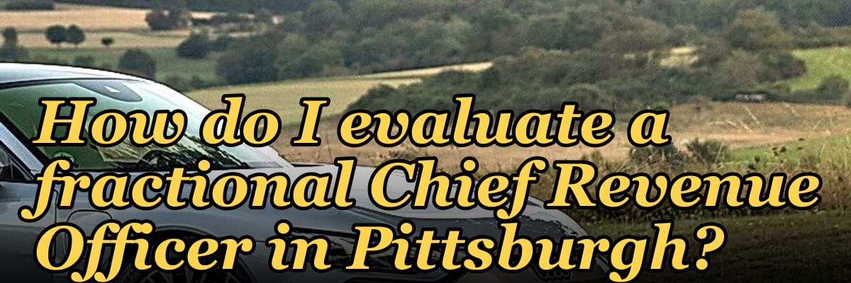 How do I evaluate a fractional Chief Revenue Officer in Pittsburgh?