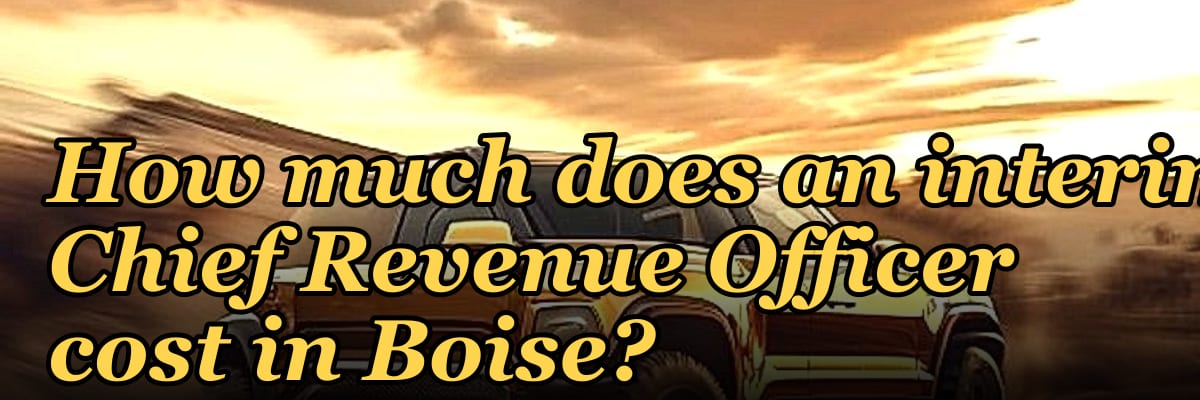 How much does an interim Chief Revenue Officer cost in Boise?