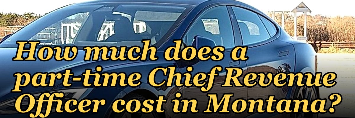 How much does a part-time Chief Revenue Officer cost in Montana?