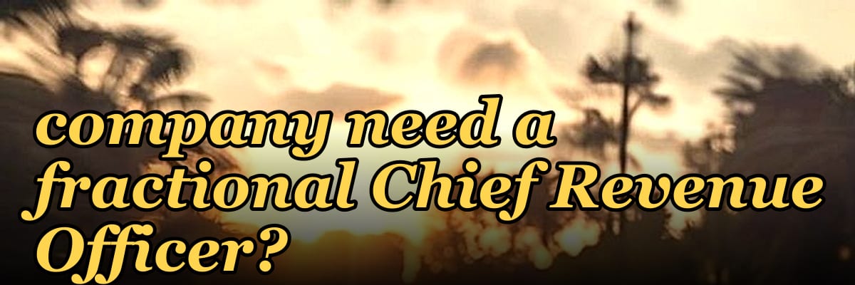 Does a founder-led enterprise software company need a fractional Chief Revenue Officer?