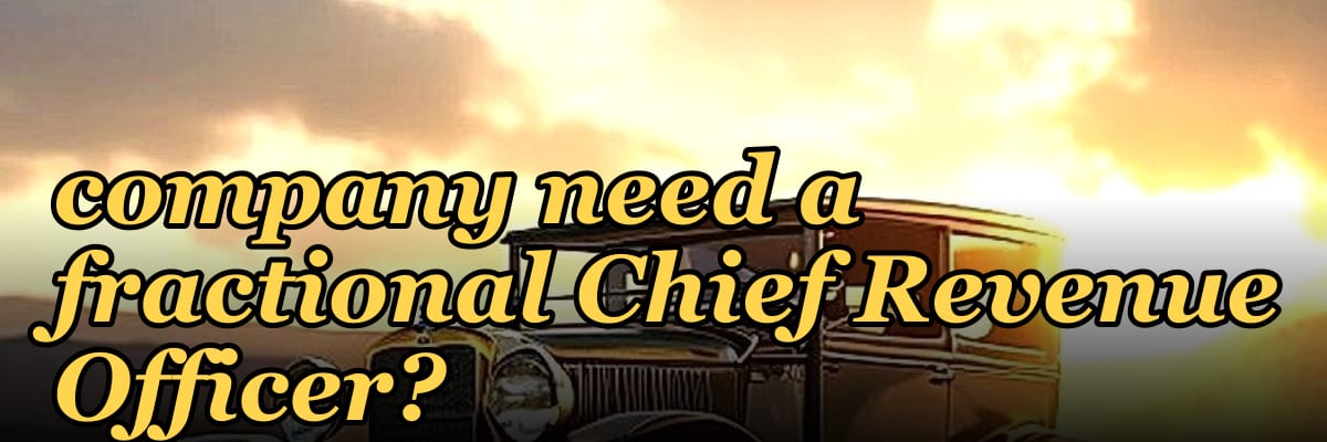 Does a pre-seed professional services company need a fractional Chief Revenue Officer?