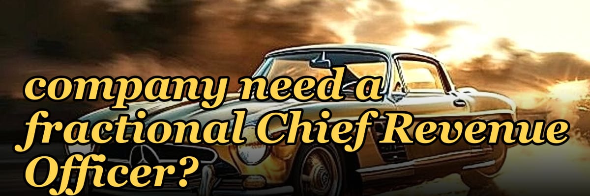 Does a PE-backed telecom company need a fractional Chief Revenue Officer?