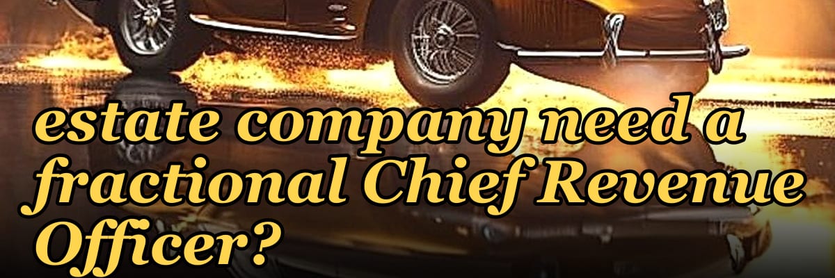 Does a pre-IPO real estate company need a fractional Chief Revenue Officer?