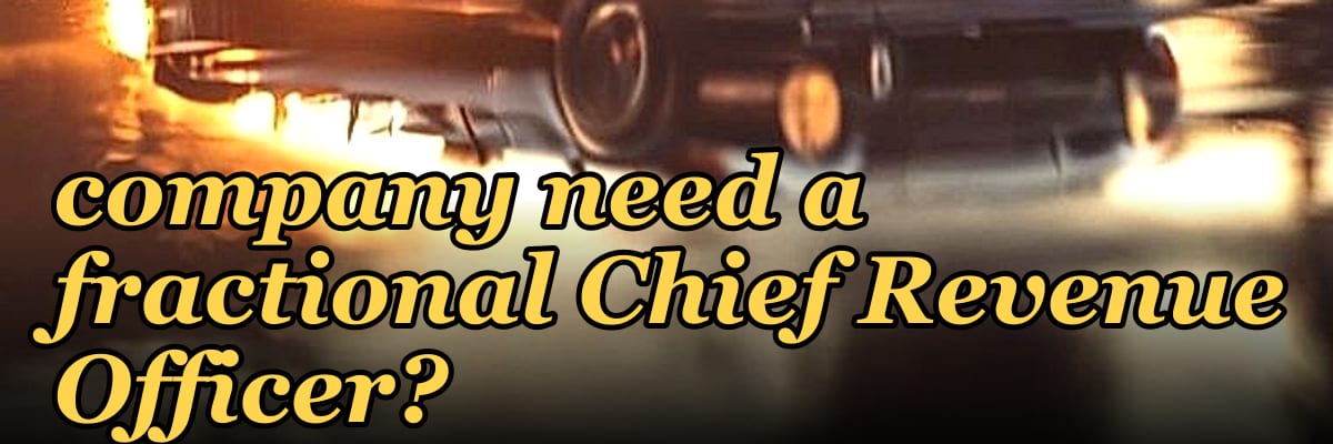 Does a $10M to $50M ARR government contracting company need a fractional Chief Revenue Officer?
