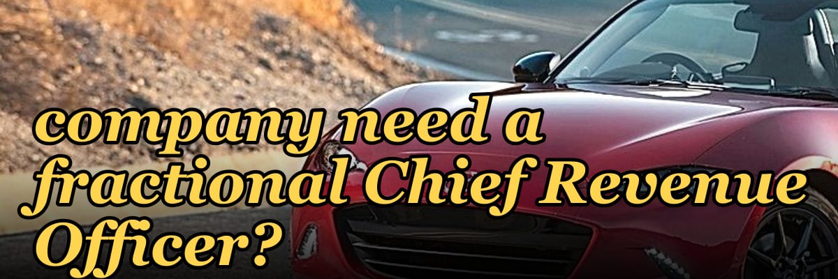 Does a seed-stage adtech company need a fractional Chief Revenue Officer?