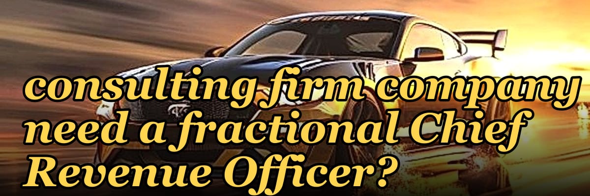 Does a $1M to $5M ARR consulting firm company need a fractional Chief Revenue Officer?
