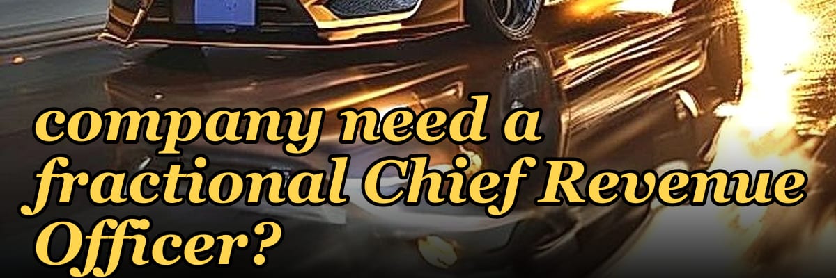 Does an SMB media company need a fractional Chief Revenue Officer?