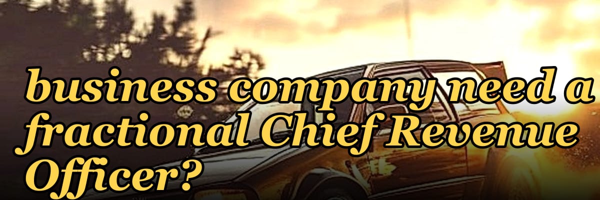 Does a Series A services business company need a fractional Chief Revenue Officer?
