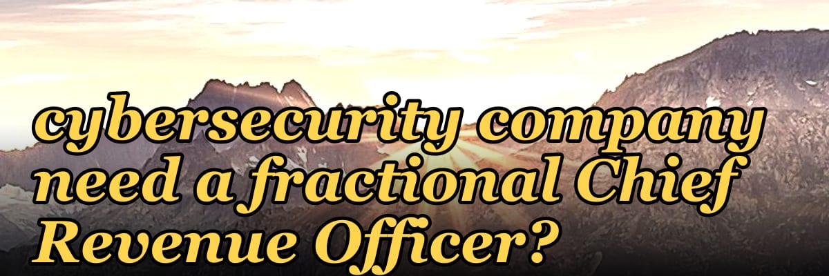 Does a $5M to $10M ARR cybersecurity company need a fractional Chief Revenue Officer?