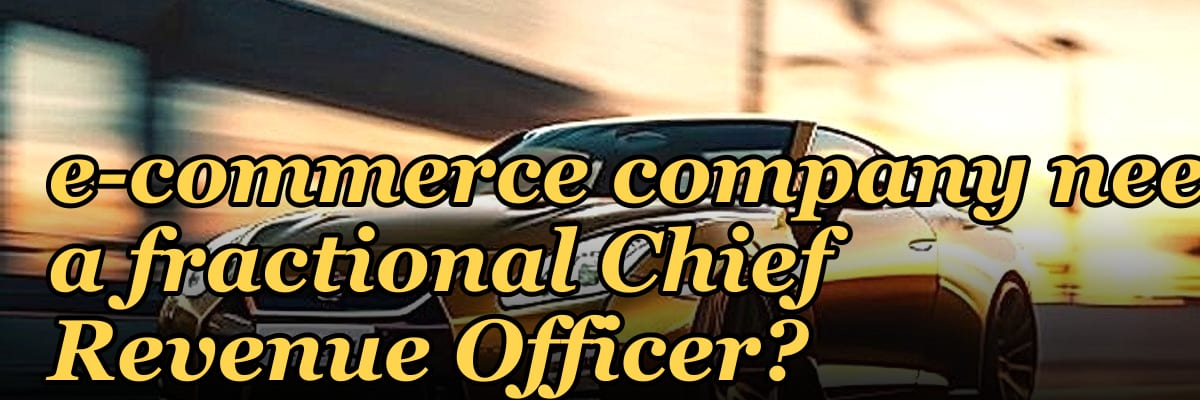 Does a pre-seed e-commerce company need a fractional Chief Revenue Officer?