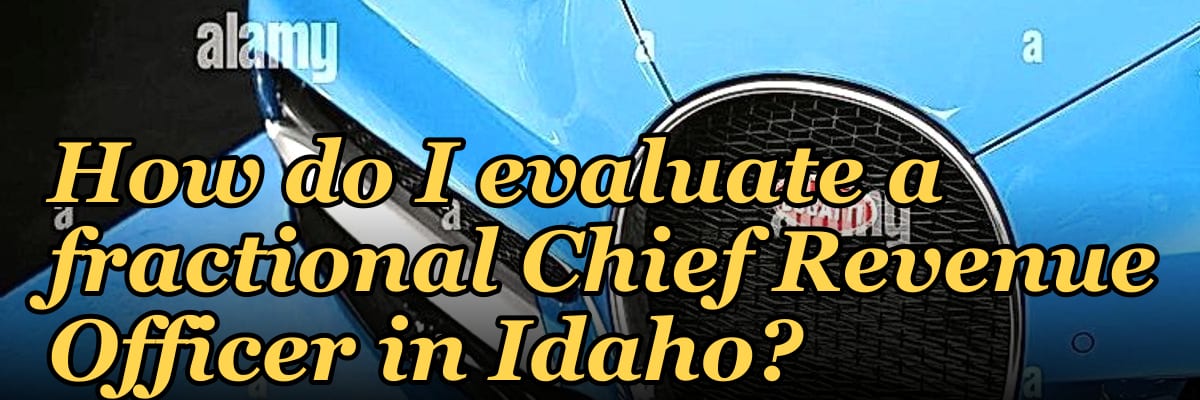 How do I evaluate a fractional Chief Revenue Officer in Idaho?