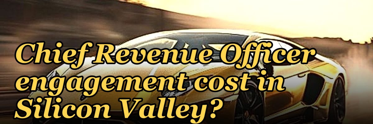 What does a fractional Chief Revenue Officer engagement cost in Silicon Valley?
