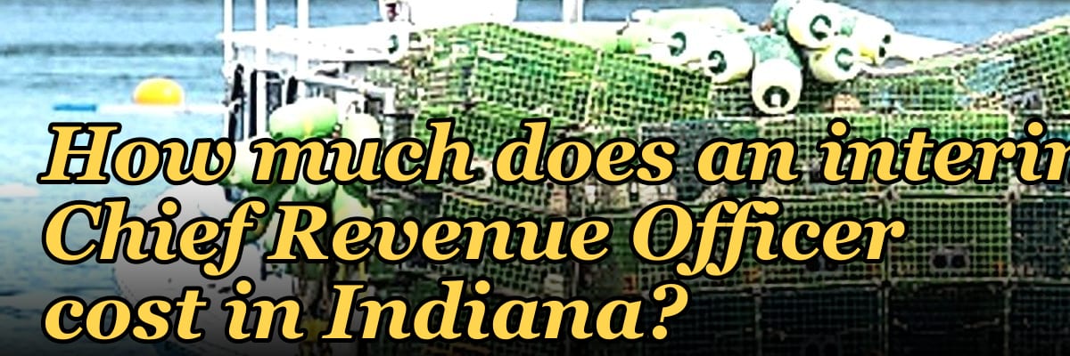 How much does an interim Chief Revenue Officer cost in Indiana?