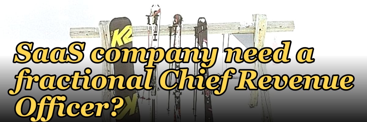 Does a mid-market B2B SaaS company need a fractional Chief Revenue Officer?