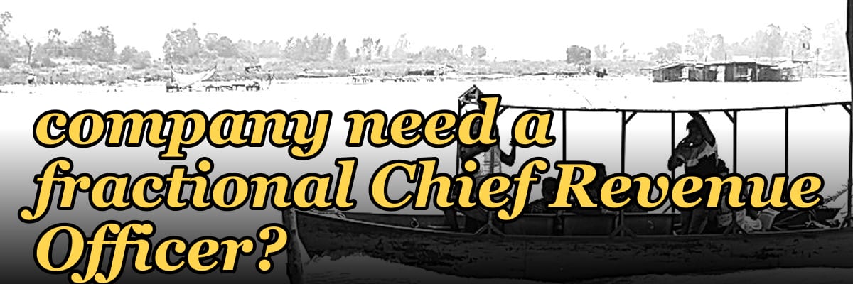 Does a Series C edtech company need a fractional Chief Revenue Officer?