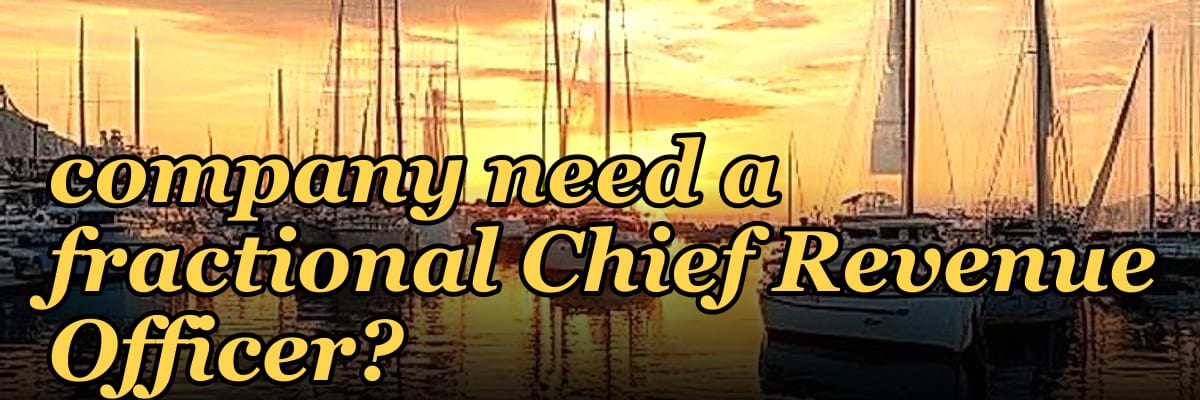 Does a $1M to $5M ARR consumer subscription company need a fractional Chief Revenue Officer?