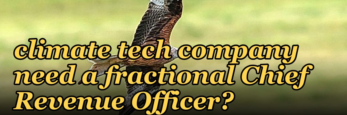 Does an early-stage climate tech company need a fractional Chief Revenue Officer?