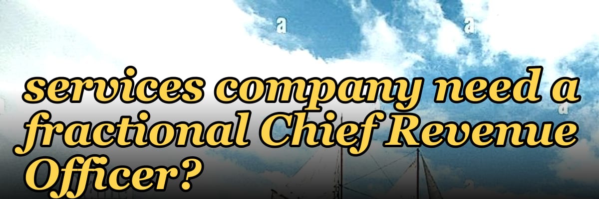 Does an SMB financial services company need a fractional Chief Revenue Officer?