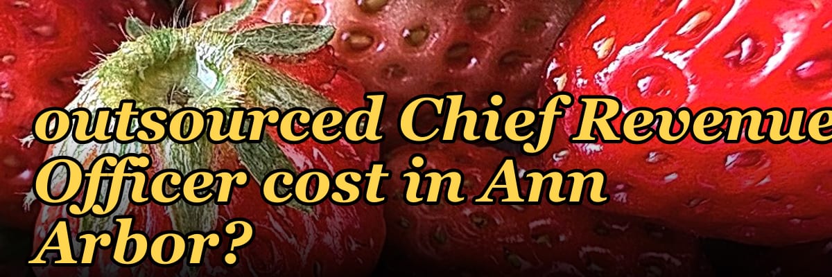 How much does an outsourced Chief Revenue Officer cost in Ann Arbor?