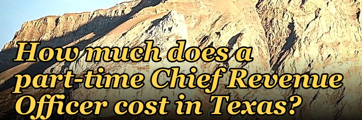 How much does a part-time Chief Revenue Officer cost in Texas?