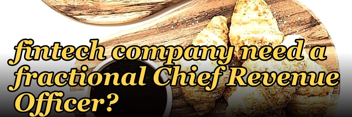 Does a bootstrapped fintech company need a fractional Chief Revenue Officer?