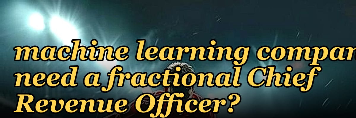 Does a $5M to $10M ARR machine learning company need a fractional Chief Revenue Officer?